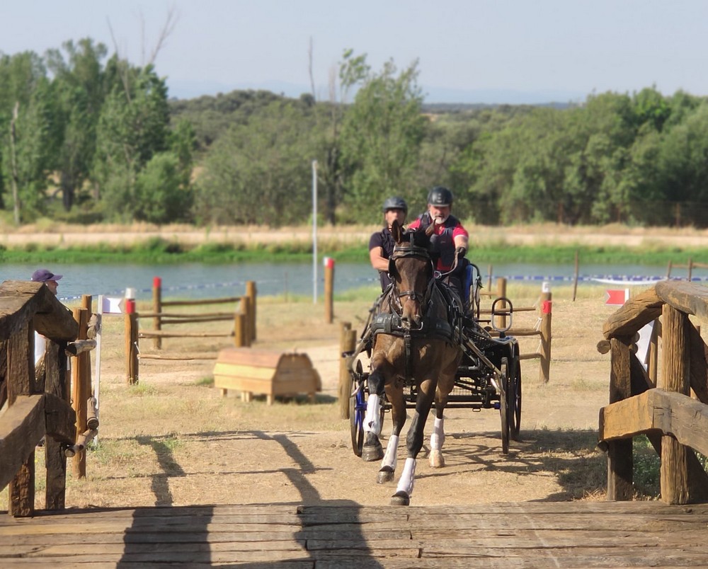 Triple podio Navarro en el Campeonato de España de Enganches